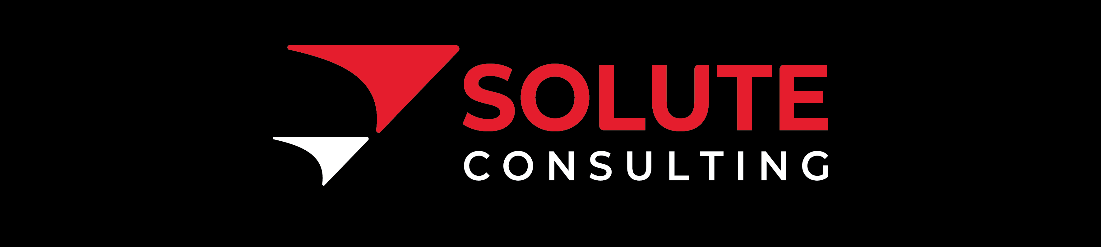Solute Consulting